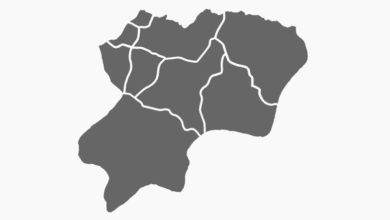 Artvin Belediye Başkanı Seçim Anketi