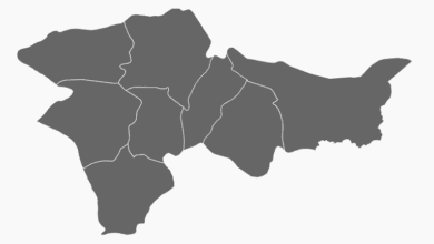 Ağrı Belediye Başkanı Seçim Anketi
