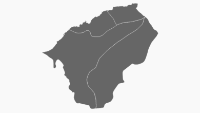 Bartın Belediye Başkanı Seçim Anketi