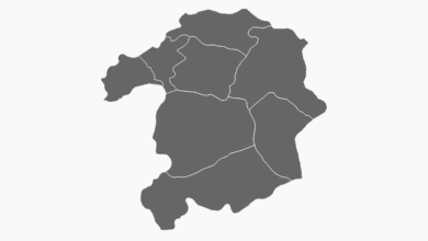 Bingöl Belediye Başkanı Seçim Anketi