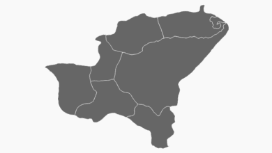 Bitlis Belediye Başkanı Seçim Anketi