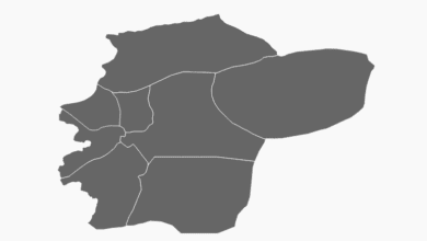 Düzce Belediye Başkanı Seçim Anketi