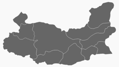 Elazığ Belediye Başkanı Seçim Anketi