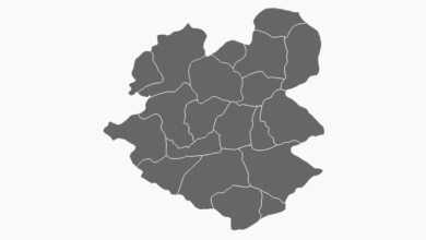 Erzurum Belediye Başkanı Seçim Anketi