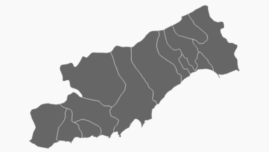 Mersin Belediye Başkanı Seçim Anketi