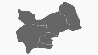Muş Belediye Başkanı Seçim Anketi