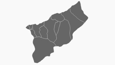 Rize Belediye Başkanı Seçim Anketi