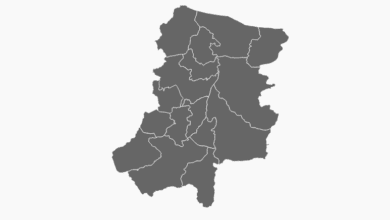 Sakarya Belediye Başkanı Seçim Anketi