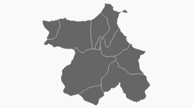 Sinop Belediye Başkanı Seçim Anketi