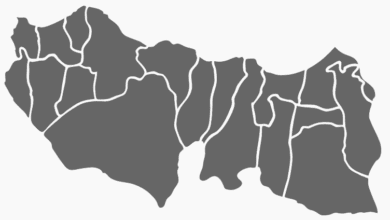 Trabzon Belediye Başkanı Seçim Anketi