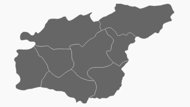 Tunceli Belediye Başkanı Seçim Anketi