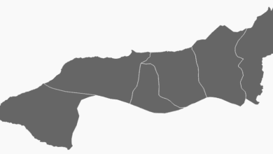 Yalova Belediye Başkanı Seçim Anketi