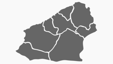 Zonguldak Belediye Başkanı Seçim Anketi