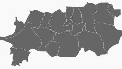 Aydın Belediye Başkanı Seçim Anketi