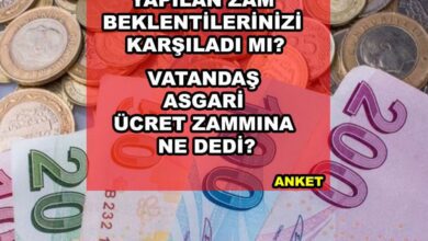 Asgari ücrete yapılan zam beklentilerinizi karşıladı mı?