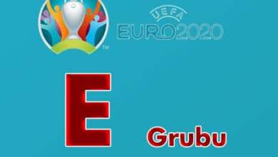 2020 Avrupa Futbol Şampiyonası E Grubu Tüm Maçlar