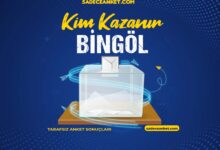 2023 Bingöl Seçim Anketi