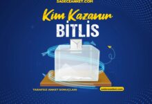 2023 Bitlis Seçim Anketi