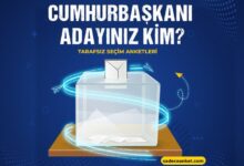 cumhurbaşkanı anketleri